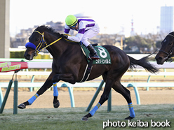 カラープリント(アルミ枠なし)2017年1月15日中山11R 京成杯(コマノインパルス)