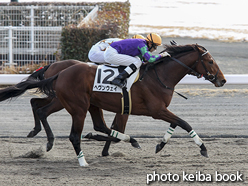 カラーパネル2017年1月16日中京2R 3歳未勝利(ヘヴンウェイ)