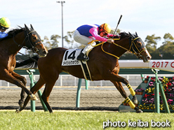 カラーパネル2017年1月16日中京7R 3歳未勝利(メイショウオワラ)