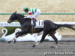 カラープリント(アルミ枠なし)2017年1月17日京都3R 3歳未勝利(ヴィルデローゼ)