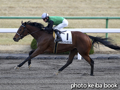 カラープリント(アルミ枠なし)2017年1月17日京都8R 4歳上1000万下(クリノリトミシュル)