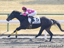 カラープリント(アルミ枠付き)2017年1月21日京都4R 3歳新馬(ビップキャッツアイ)