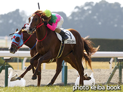 カラープリント(アルミ枠なし)2017年1月21日京都5R 3歳未勝利(エスピリトゥオーゾ)