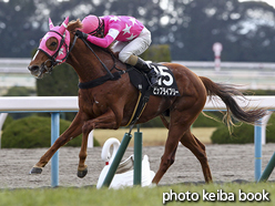 カラーパネル2017年1月21日京都9R 祇園特別(ビップライブリー)