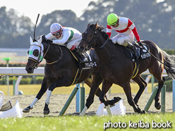 カラープリント(アルミ枠付き)2017年1月21日京都10R 若駒ステークス(アダムバローズ)