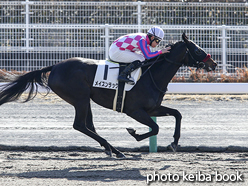 カラープリント(アルミ枠なし)2017年1月21日中京2R 3歳未勝利(メイスンラック)