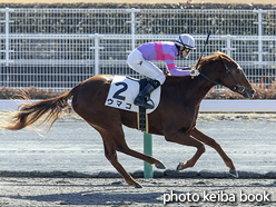 カラーパネル2017年1月21日中京3R 3歳未勝利(ウマコ)