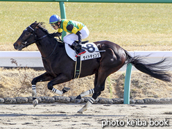 カラープリント(アルミ枠付き)2017年1月21日中山4R 3歳新馬(サイドチェンジ)