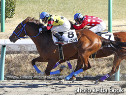 カラープリント(アルミ枠付き)2017年1月21日中山6R 3歳新馬(シャムロック)