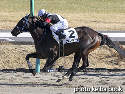 カラープリント(アルミ枠なし)2017年1月21日中山7R 4歳上500万下(カンデラ)