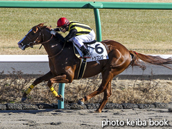 カラープリント(アルミ枠なし)2017年1月21日中山8R 4歳上1000万下(ドラゴンゲート)