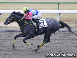 カラープリント(アルミ枠なし)2017年1月22日京都2R 3歳未勝利(ウォーターマーズ)