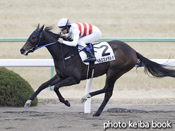 カラープリント(アルミ枠なし)2017年1月22日京都3R 3歳未勝利(ベルエスメラルダ)