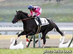 カラーパネル2017年1月22日京都6R 3歳新馬(ファンディーナ)