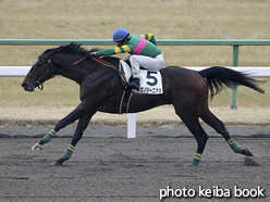 カラープリント(アルミ枠付き)2017年1月22日京都7R 4歳上500万下(タガノジーニアス)