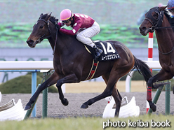 カラーパネル2017年1月22日京都11R 石清水ステークス(ムーンエクスプレス)