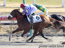 カラープリント(アルミ枠なし)2017年1月22日中山4R 3歳500万下(グッドヒューマー)