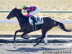 カラープリント(アルミ枠なし)2017年1月28日京都1R 3歳未勝利(スマートアムール)