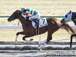 カラーパネル2017年1月28日京都7R 4歳上500万下(クロークス)