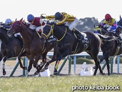 カラーパネル2017年1月28日京都10R 木津川特別(シルヴァーグレイス)