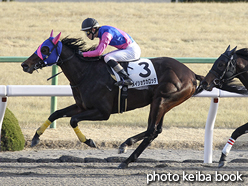 カラープリント(アルミ枠付き)2017年1月28日京都12R 4歳上500万下(メイショウカロッタ)