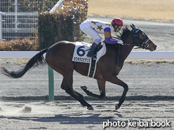 カラープリント(アルミ枠付き)2017年1月28日中京2R 3歳未勝利(カワキタエビデンス)