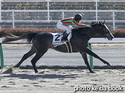 カラープリント(アルミ枠付き)2017年1月28日中京4R 3歳新馬(イイデファイナル)
