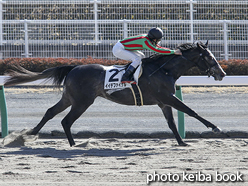 カラープリント(アルミ枠なし)2017年1月28日中京4R 3歳新馬(イイデファイナル)