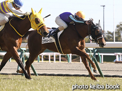 カラープリント(アルミ枠なし)2017年1月28日中京5R 3歳未勝利(ステラルージュ)