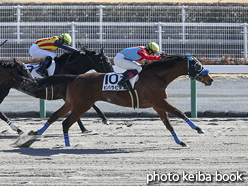 カラーパネル2017年1月28日中京6R 4歳上500万下(ビバラビダ)