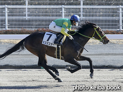 カラーパネル2017年1月28日中京7R 4歳上500万下(ミスズスター)