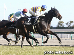 カラープリント(アルミ枠なし)2017年1月28日中京11R 中京スポーツ杯(ニシノラディアント)