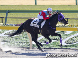 カラーパネル2017年1月28日東京1R 3歳未勝利(プティトシャンティ)