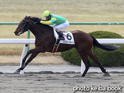 カラープリント(アルミ枠付き)2017年1月29日京都2R 3歳未勝利(スズカコーズライン)