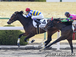 カラーパネル2017年1月29日京都3R 3歳未勝利(ボナパルト)