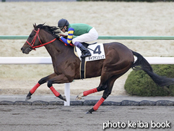 カラーパネル2017年1月29日京都12R 4歳上1000万下(キャプテンシップ)