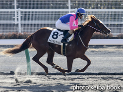 カラーパネル2017年1月29日中京1R 3歳未勝利(メイショウブレナム)