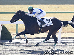 カラーパネル2017年2月4日京都2R 3歳新馬(サンオークランド)