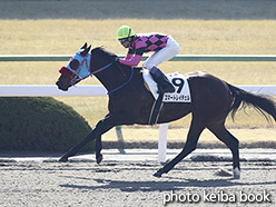 カラープリント(アルミ枠付き)2017年2月4日京都3R 3歳未勝利(スマートレイチェル)