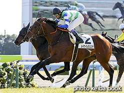 カラーパネル2017年2月4日京都7R 4歳上500万下(メイケイレジェンド)