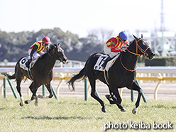 カラーパネル2017年2月4日東京5R 3歳未勝利(モアナ)