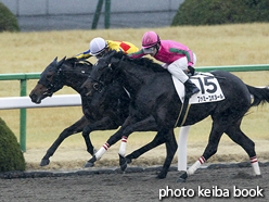 カラープリント(アルミ枠付き)2017年2月5日京都1R 3歳未勝利(パワフルヒロコ)