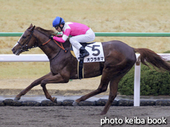 カラープリント(アルミ枠なし)2017年2月5日京都2R 3歳未勝利(オクラホマ)