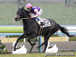 カラープリント(アルミ枠なし)2017年2月5日京都6R 3歳新馬(レイトブルーマー)