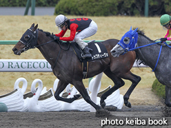 カラープリント(アルミ枠なし)2017年2月5日京都9R 北山ステークス(トップディーヴォ)