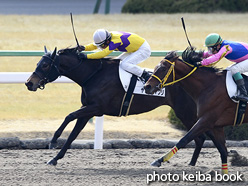 カラープリント(アルミ枠なし)2017年2月11日京都3R 3歳未勝利(ヤマノヒマワリ)