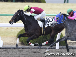 カラーパネル2017年2月11日京都4R 3歳新馬(サヴィ)