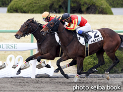 カラーパネル2017年2月11日京都8R 4歳上500万下(フォンターナリーリ)