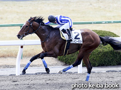 カラープリント(アルミ枠付き)2017年2月12日京都4R 障害未勝利(シャイニーダスト)