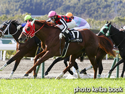 カラープリント(アルミ枠なし)2017年2月12日小倉10R 巌流島特別(リッパーザウィン)